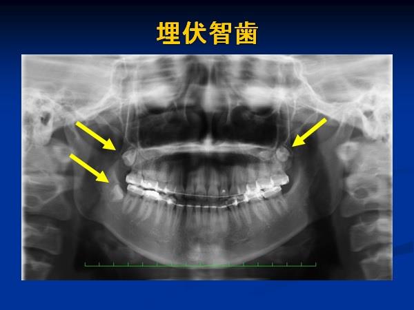 歯科口腔外科データ